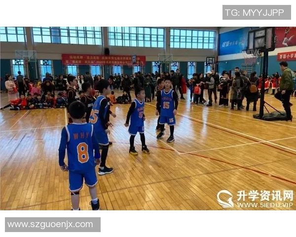 全国锦标赛特别报道：成都篮球队不屈不挠的奋斗历程与荣耀时刻