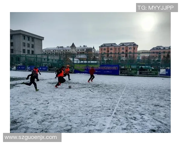 最文明的足球明星如何在绿茵场上展现风度与品格的完美结合