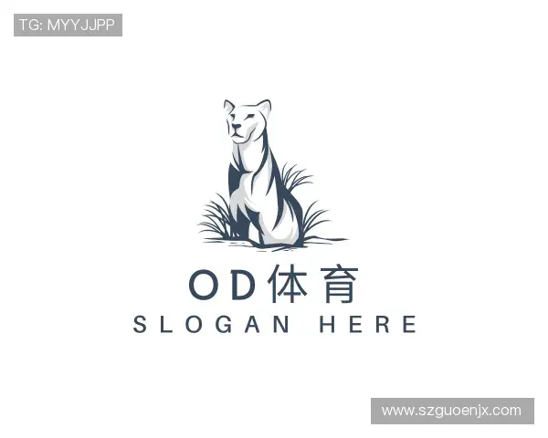 了解OD体育官网