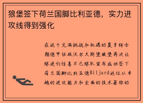 狼堡签下荷兰国脚比利亚德，实力进攻线得到强化